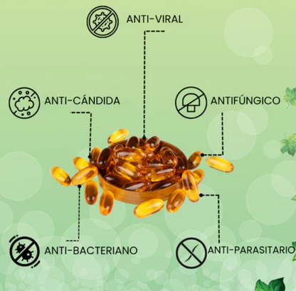 Aceite de orégano - El poder natural que tu cuerpo necesita
