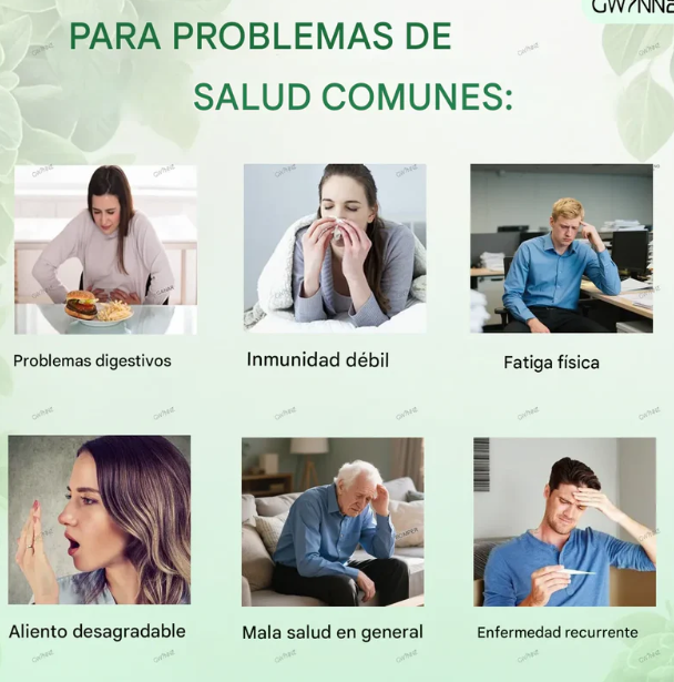 Aceite de orégano - El poder natural que tu cuerpo necesita