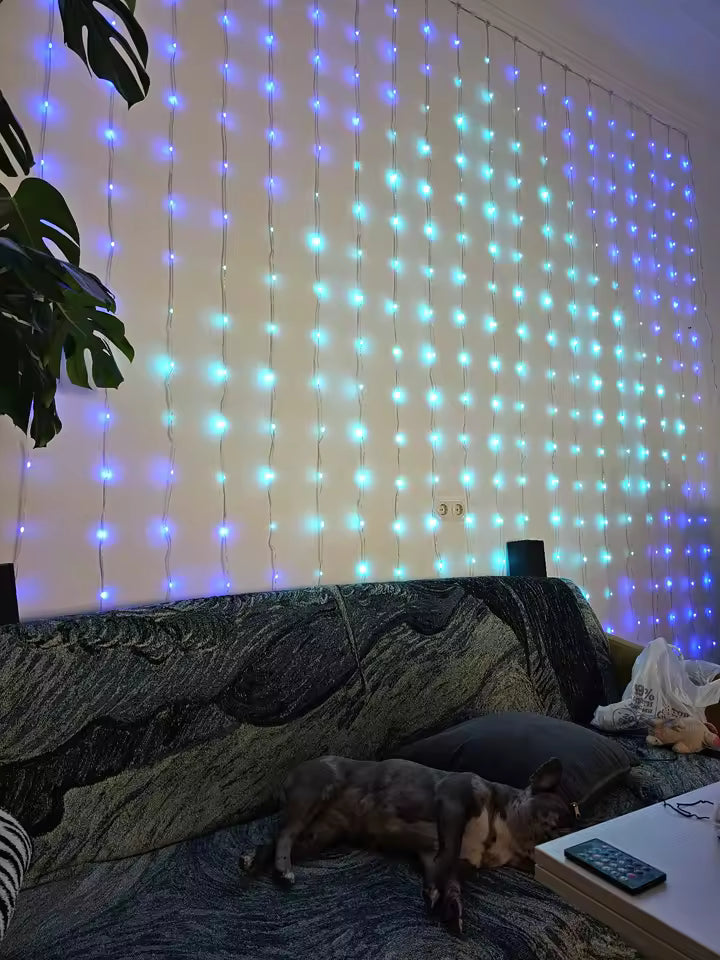 <strong> </strong><em><strong>Laura P. – Cali</strong></em>