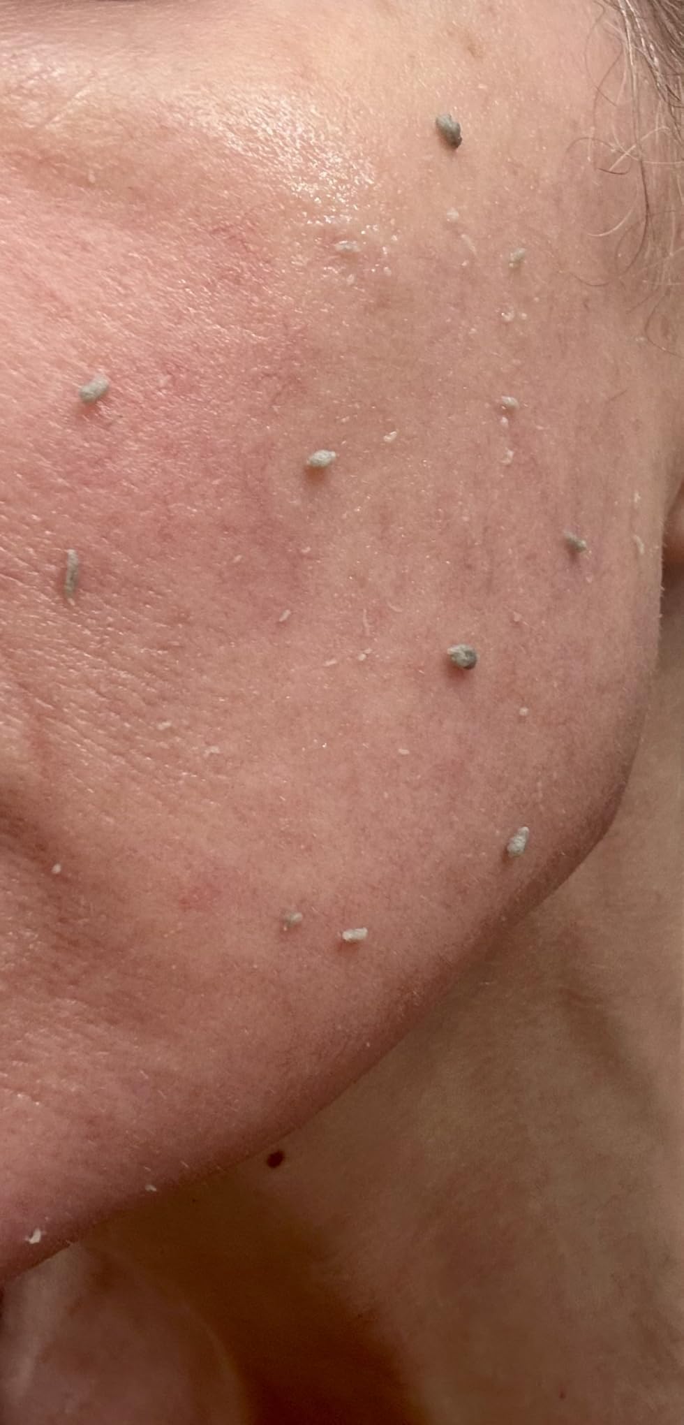 <em>Esperanza cardona</em>